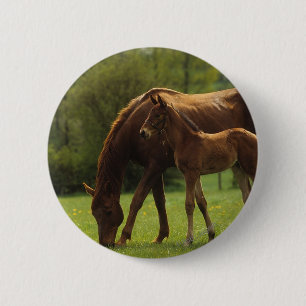 Thoroughbred-Stute u. Fohlen 2 Button