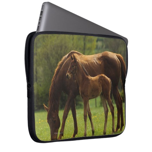 Thoroughbred-Stute u. Fohlen 2 Laptopschutzhülle (Vorne Rechts)