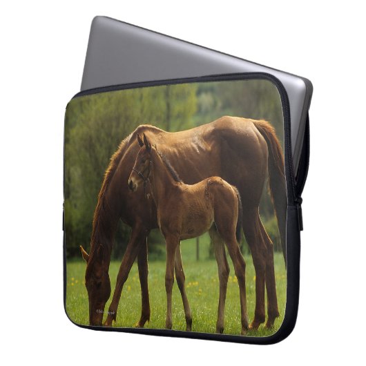 Thoroughbred-Stute u. Fohlen 2 Laptopschutzhülle (Vorderseite Links)