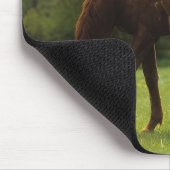 Thoroughbred-Stute u. Fohlen 2 Mousepad (Ecke)