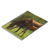 Thoroughbred-Stute u. Fohlen 2 Notizblock (Linke Seite)