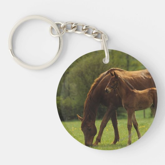 Thoroughbred-Stute u. Fohlen 2 Schlüsselanhänger (Vorderseite)