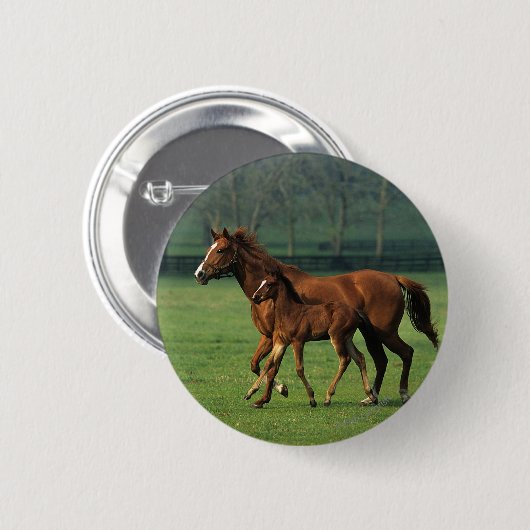 Thoroughbred-Stute u. Fohlen 3 Button (Vorne & Hinten)