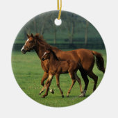 Thoroughbred-Stute u. Fohlen 3 Keramikornament (Vorne)