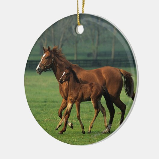 Thoroughbred-Stute u. Fohlen 3 Keramikornament (Links)