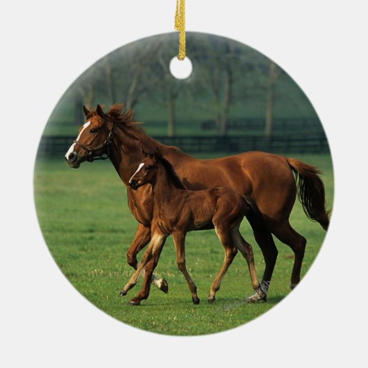 Thoroughbred-Stute u. Fohlen 3 Keramikornament (Hinten)