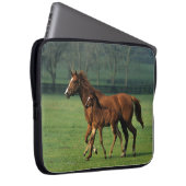 Thoroughbred-Stute u. Fohlen 3 Laptopschutzhülle (Vorne Rechts)