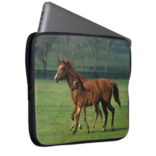 Thoroughbred-Stute u. Fohlen 3 Laptopschutzhülle (Vorne Rechts)