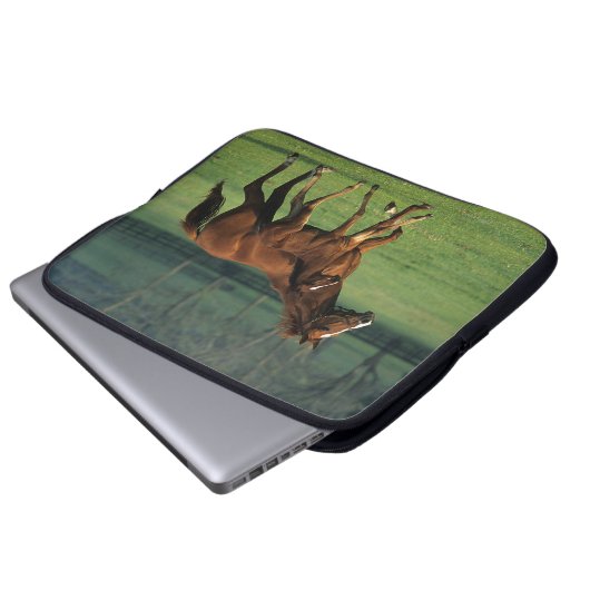 Thoroughbred-Stute u. Fohlen 3 Laptopschutzhülle (Vorne Knopf)