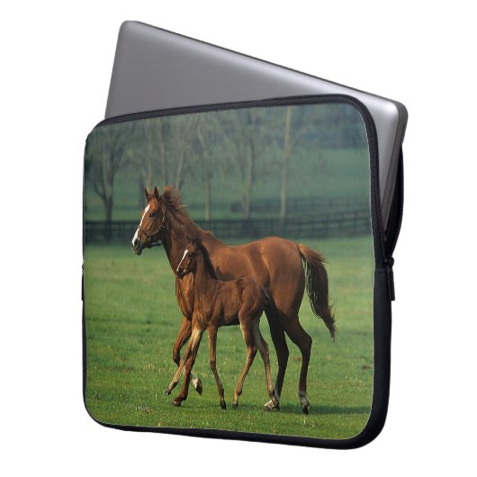 Thoroughbred-Stute u. Fohlen 3 Laptopschutzhülle (Vorderseite Links)