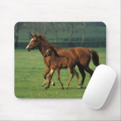 Thoroughbred-Stute u. Fohlen 3 Mousepad (Mit Mouse)