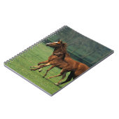 Thoroughbred-Stute u. Fohlen 3 Notizblock (Linke Seite)
