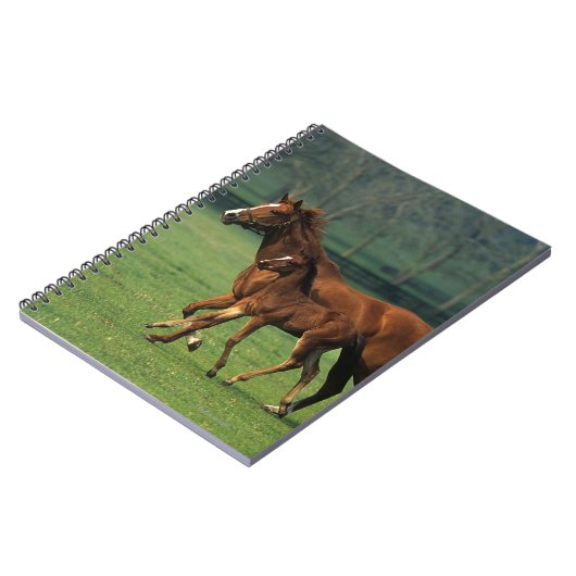 Thoroughbred-Stute u. Fohlen 3 Notizblock (Linke Seite)