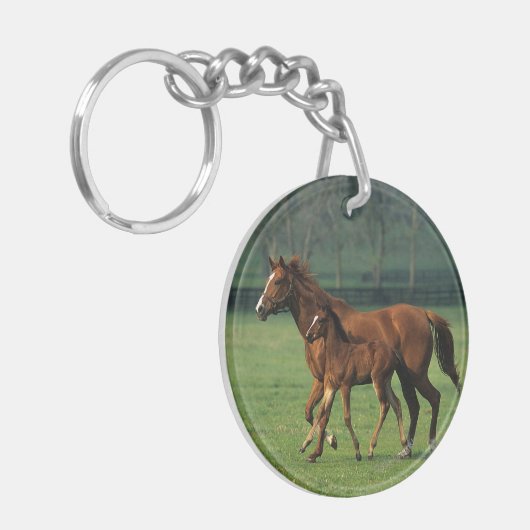Thoroughbred-Stute u. Fohlen 3 Schlüsselanhänger (Vorderseite links)