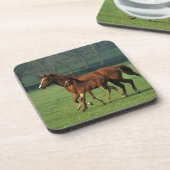 Thoroughbred-Stute u. Fohlen 3 Untersetzer (Linke Seite)