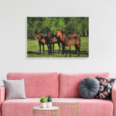 Thoroughbred Yearlings Leinwanddruck (Insitu (Wohnzimmer))