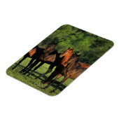 Thoroughbred Yearlings Magnet (Linke Seite)