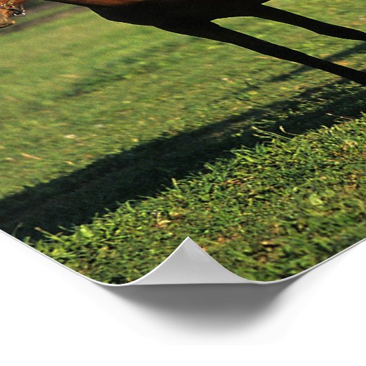 Thoroughbred Yearlings Poster (Ecke)