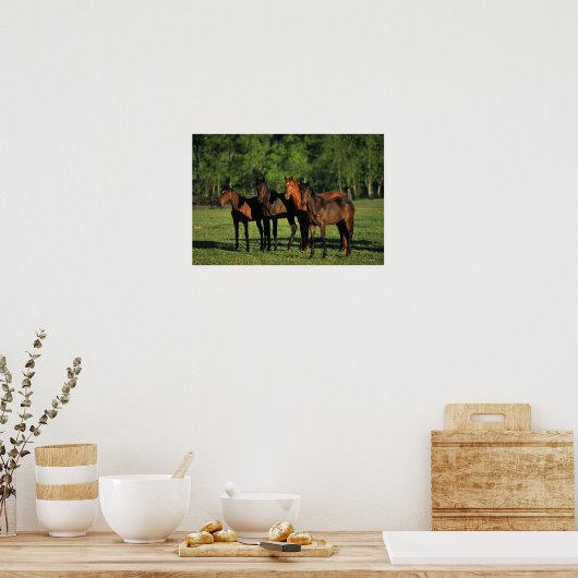 Thoroughbred Yearlings Poster (Küche)