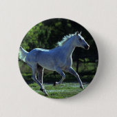 Thoroughbredstallions-Betrieb Button (Vorderseite)