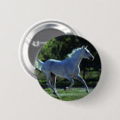 Thoroughbredstallions-Betrieb Button (Vorne & Hinten)