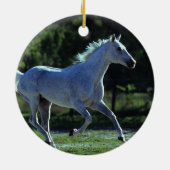 Thoroughbredstallions-Betrieb Keramikornament (Hinten)