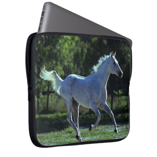 Thoroughbredstallions-Betrieb Laptopschutzhülle (Vorne Rechts)