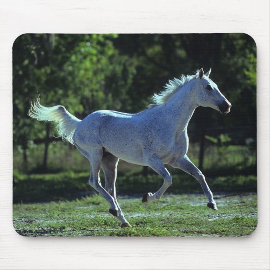 Thoroughbredstallions-Betrieb Mousepad (Vorne)