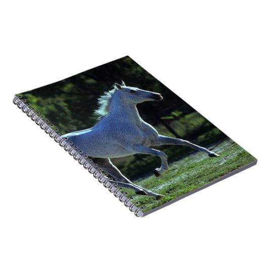 Thoroughbredstallions-Betrieb Notizblock (Rechte Seite)