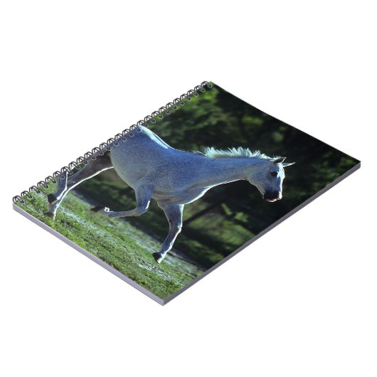 Thoroughbredstallions-Betrieb Notizblock (Linke Seite)