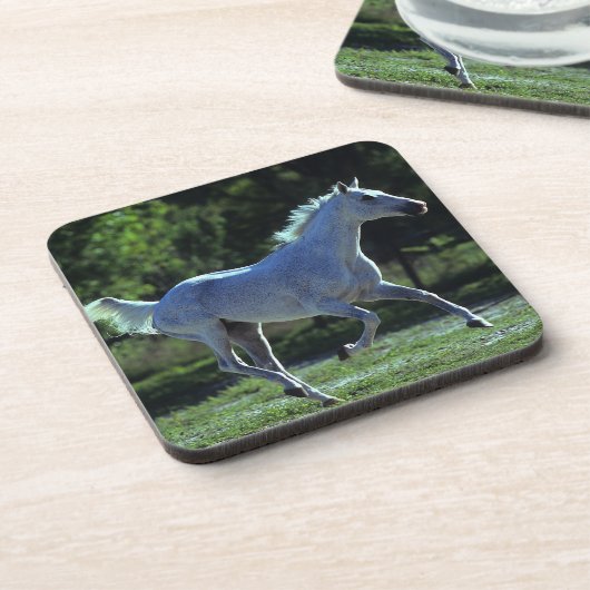 Thoroughbredstallions-Betrieb Untersetzer (Linke Seite)