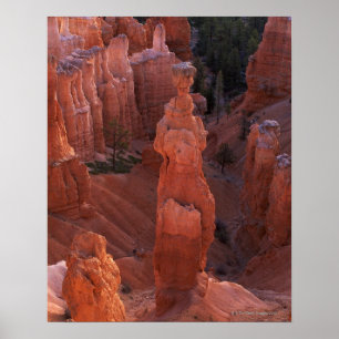 Thor's Hammer Hoodoo auf Navajo Trail Poster