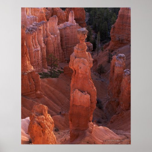 Thor's Hammer Hoodoo auf Navajo Trail Poster (Vorne)