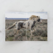 Thor's letzte Portrait Grußkarte Einladung (Innenseite)