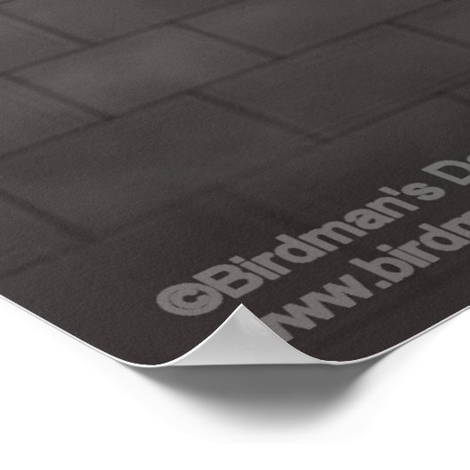 Thoth_The Moon Deity Poster (Ecke)