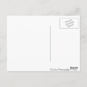 Thought Blockade Postkarte (Rückseite)