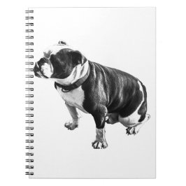 Thoughts Can Take Their Time Notizblock