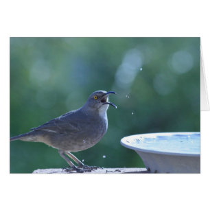 Thrasher Splasher-Karte