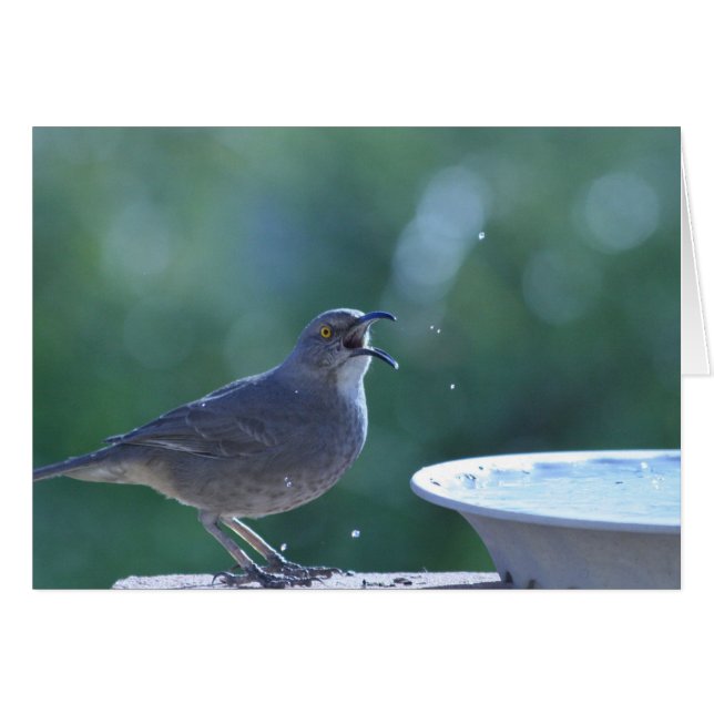 Thrasher Splasher-Karte (Vorderseite (Horizontal))