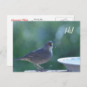 Thrasher Splasher Postcard Postkarte (Vorne/Hinten)
