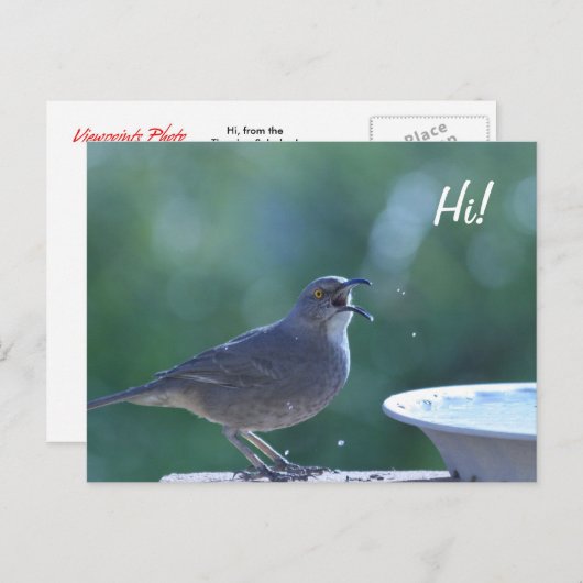 Thrasher Splasher Postcard Postkarte (Vorne/Hinten)