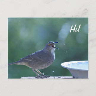 Thrasher Splasher Postcard Postkarte