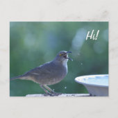 Thrasher Splasher Postcard Postkarte (Vorderseite)