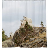Three Ami-Goats // Colorado Wildlife Duschvorhang (Vorderseite)
