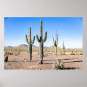 Three Amigo Saguaros Poster (Vorne)
