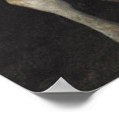 Three Amigos - Bull Cows Staring wild West Art Poster (Ecke)