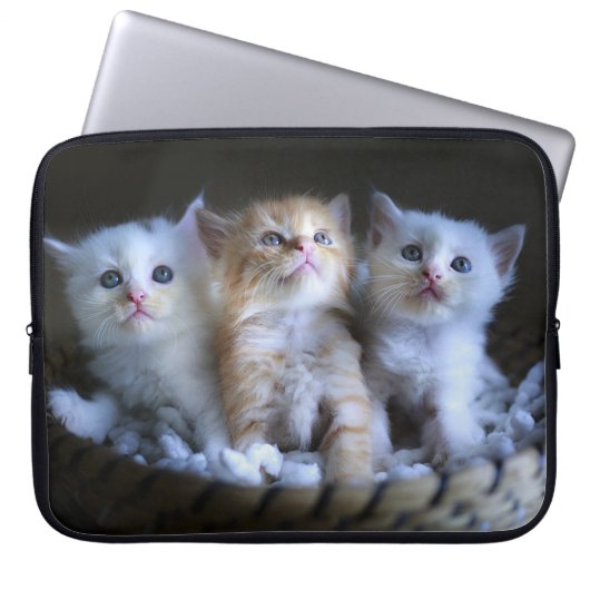 Three Amigos Laptopschutzhülle (Vorderseite)
