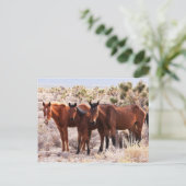 Three Amigos Postkarte (Stehend Vorderseite)