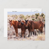 Three Amigos Postkarte (Vorne/Hinten)