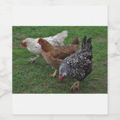 Three Amigos Weinetikett (Einzelnes Label)